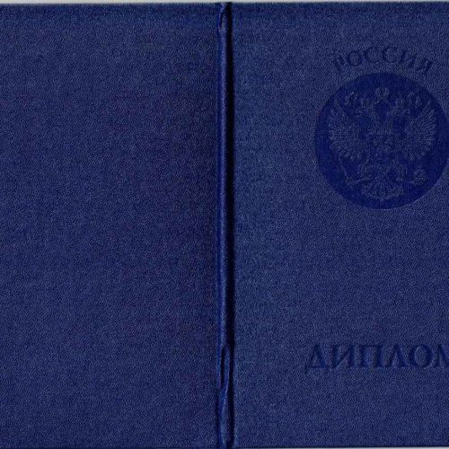 Диплом бакалавра 2004-2008